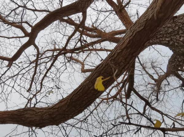 徒步白雲寺渡槽一一絕壁大梯一一上白雲一一白雲寺 徒步白雲寺渡槽一一絕壁大梯一一上白雲一一白雲寺