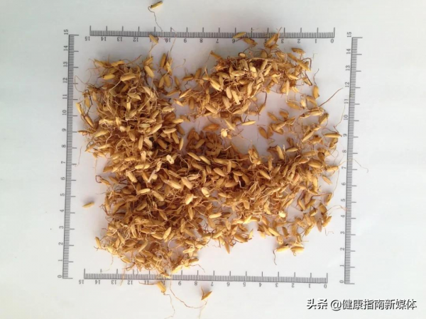 提升消化能力有三仙