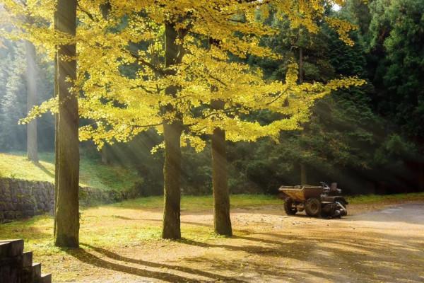 中秋&amp;國慶去哪兒玩？這條秋天最美自駕線，9、10月將迎來顏值巔峰