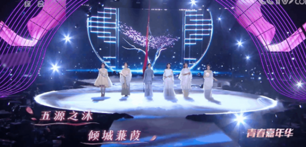 4家衛視小年夜晚會：河大衛好悽慘，收視率0&period;01，但節目超燃