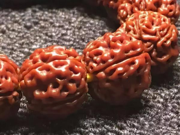 金剛菩提，老手和新手的區別到底在哪？