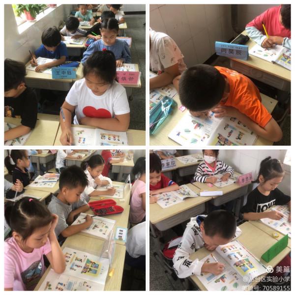 從“一”開始，向美而生———走進實小的一年級數學課堂