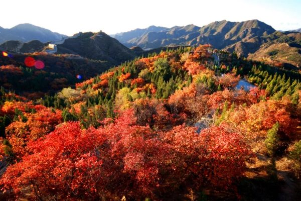 媯川秋韻（一） 精品自駕線路來襲，週末出遊不發愁～