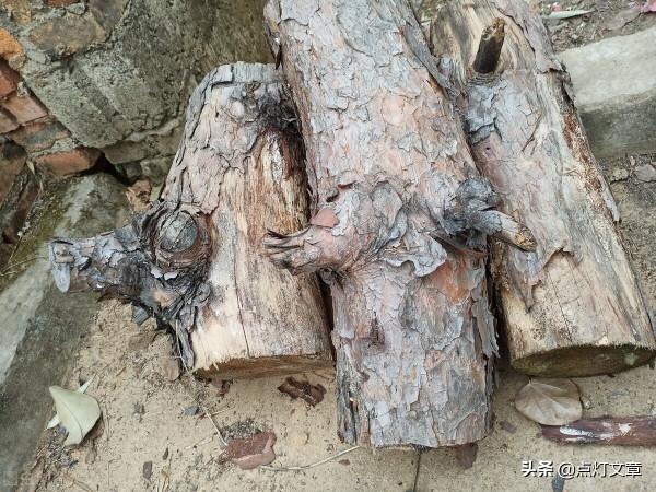 鄉土社會和城市社會的差異——《鄉土中國》