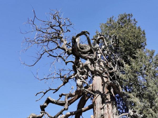 尊師重教最京城/“左廟右學”國子監 尊師重教最京城/“左廟右學”國子監