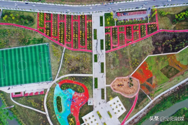 不可思議！已是深秋，月兒灣公園卻如此多彩，恰似夏日還未走遠