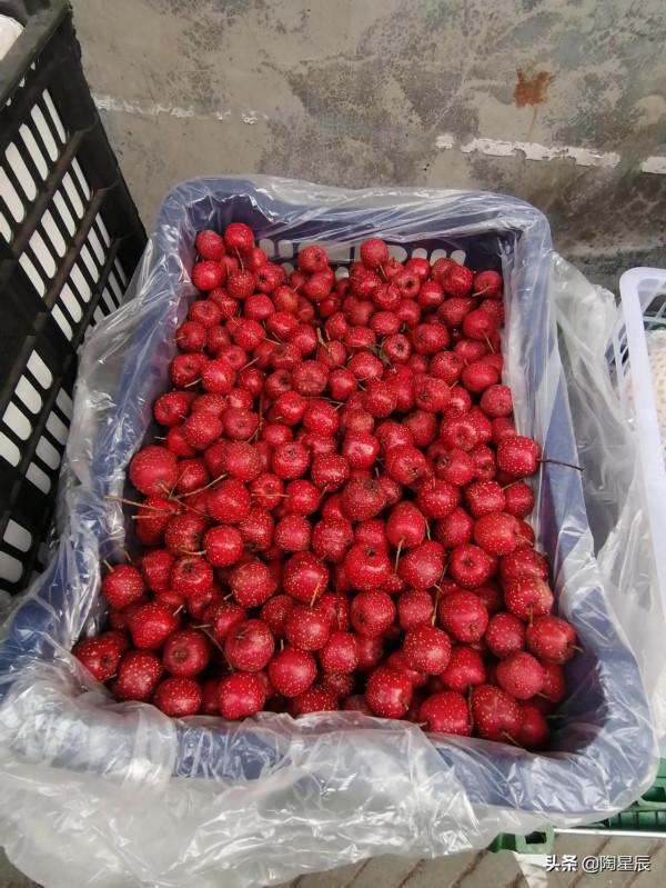 公交徒步遊北京：模式口大街和冰川館