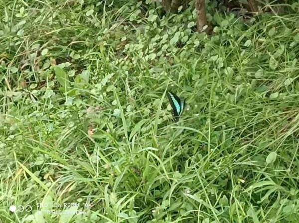 香山景區半日遊