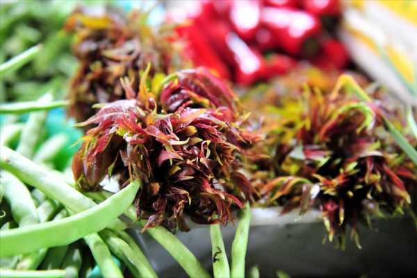 春天嚐鮮季，5樣春菜別忘給家人吃，清爽鮮嫩一口吃下&OpenCurlyDoubleQuote;春天&rdquo;