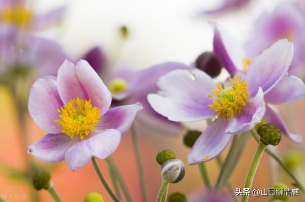 人到中年時，我建議你多讀書，多攢錢，少交朋友