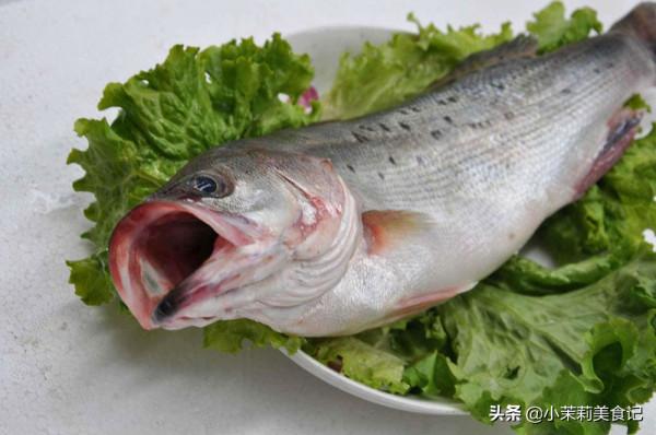 寒冬臘月，遇到這5種魚別手軟，肉嫩刺少營養高，家人常吃身體棒