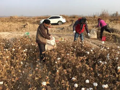 貴州47歲大叔,每天背幾千斤豬肉,月薪6千元,卻養大5個孩子 貴州47歲大叔,每天背幾千斤豬肉,月薪6千元,卻養大5個孩子