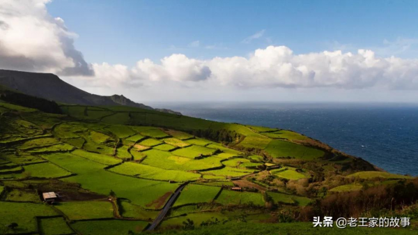 農業農村部強農惠農35條重點政策
