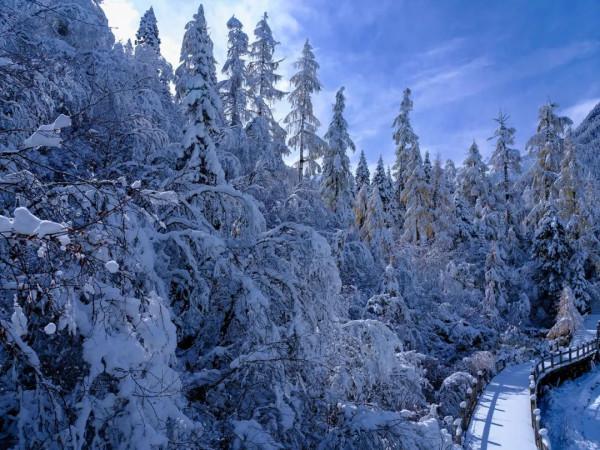 四川第三期紅葉觀賞指數釋出!不出家門,帶你雲遊這些動人風景 四川第三期紅葉觀賞指數釋出!不出家門,帶你雲遊這些動人風景