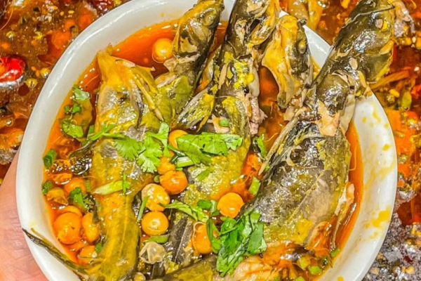 君越:一座庭院 一縷魚香 絕配 君越:一座庭院 一縷魚香 絕配