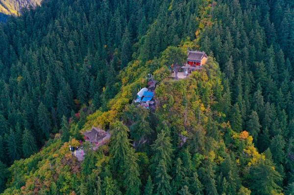 一葉知秋 興隆秋景如畫