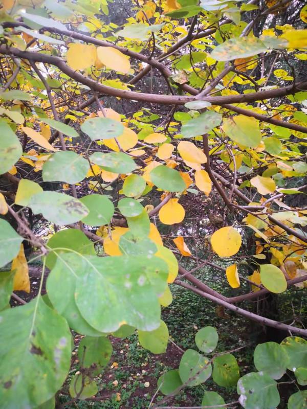 兩 岸 (詩歌外九首)北京 張新貴 兩 岸 (詩歌外九首)北京 張新貴