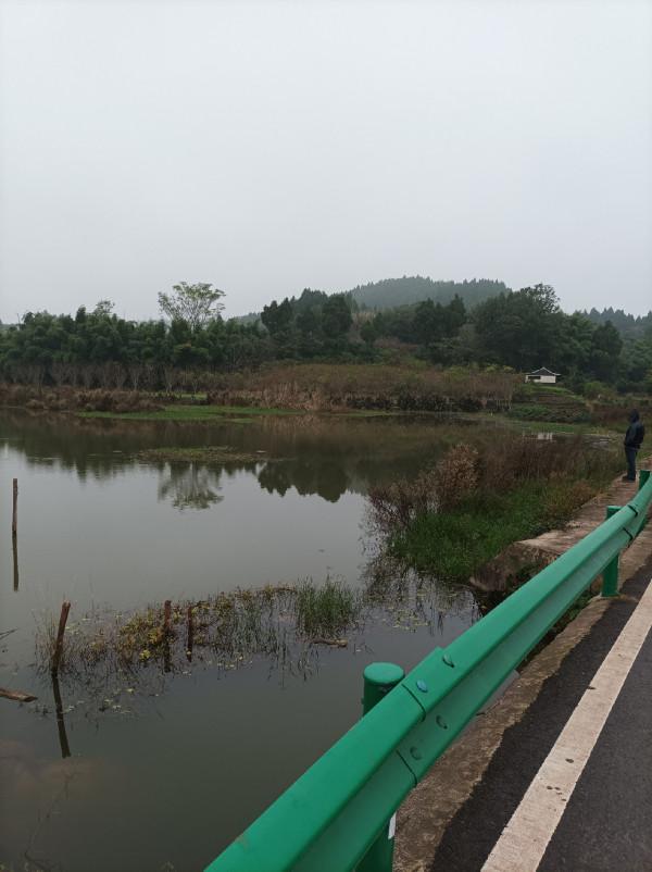 庫釣時被李大爺“欺騙”,釣了兩條鯽魚撿了兩枚鴨蛋,白條倒是連竿了 庫釣時被李大爺“欺騙”,釣了兩條鯽魚撿了兩枚鴨蛋,白條倒是連竿了