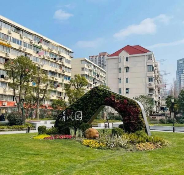 長寧這個“街心花園”的梅花開了，可美啦