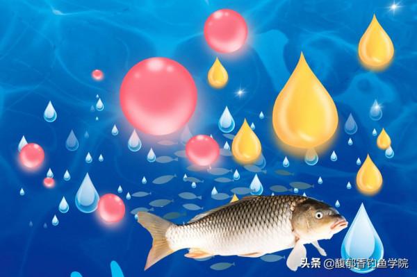 哪些香味適合釣魚？哪種香型釣魚效果好？釣魚餌料的香味調配技巧