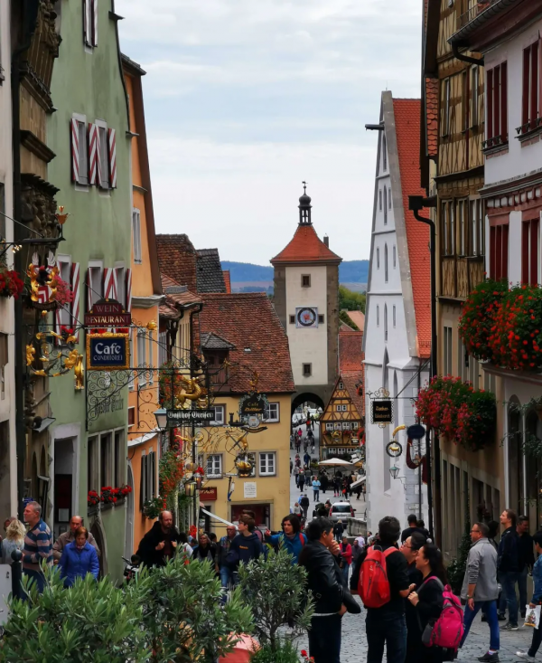 東北花友走遍歐洲著名花園,回國後建了座四季有花的北方花園 東北花友走遍歐洲著名花園,回國後建了座四季有花的北方花園