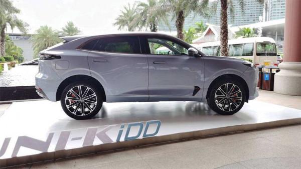 比亞迪也扛不動的2022，大插混，治得了大漲價？