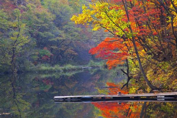 寒冬將至，在心裡重溫深秋的溫暖與美好