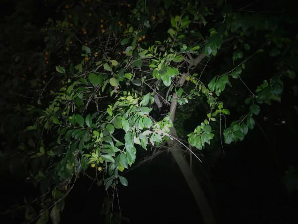 鑰匙燈，我就選多功能的