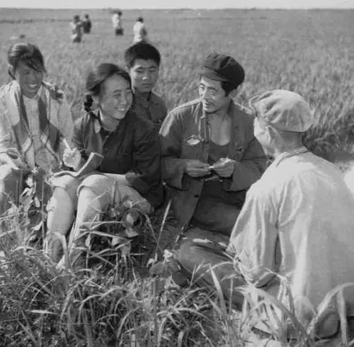 生產隊長十品官 生產隊長十品官