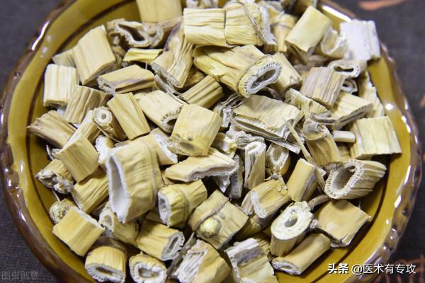 每天認識一味中藥－－蘆根