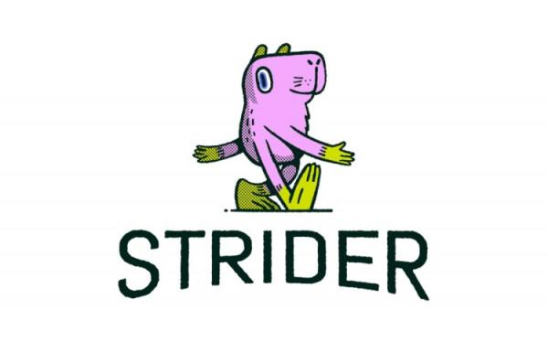 Strider籌集了300萬美元，使用區塊鏈DAO來支援遊戲開發者
