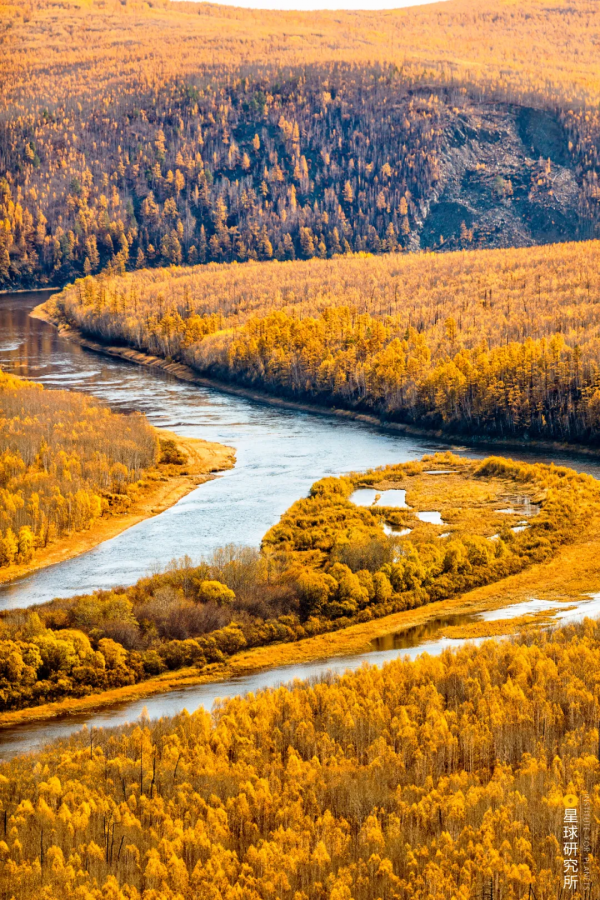 來了！中國賞秋地圖