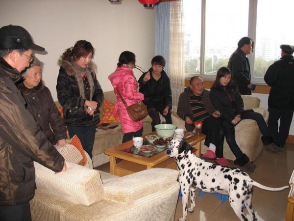 我作為一個非常愛狗的人,為什麼再也不養狗了 我作為一個非常愛狗的人,為什麼再也不養狗了