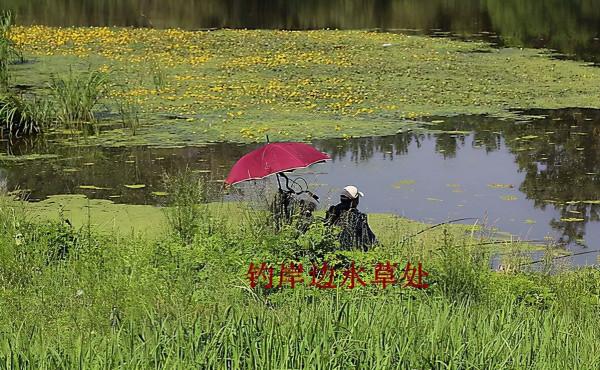 深秋降溫之後，釣深還是釣淺，看完這三個條件你就知道了