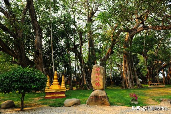 雲南適合養老的邊陲小城,冬夏不用開空調,節奏慢,水果便宜 雲南適合養老的邊陲小城,冬夏不用開空調,節奏慢,水果便宜