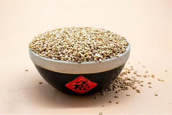 秋分養生｜藉著這股平和之氣，讓孩子的體質飛躍