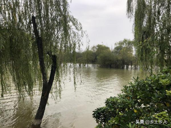 老人說：今年是“冬夏蓋春秋，寒暑皆不通”，啥意思？有啥預兆？