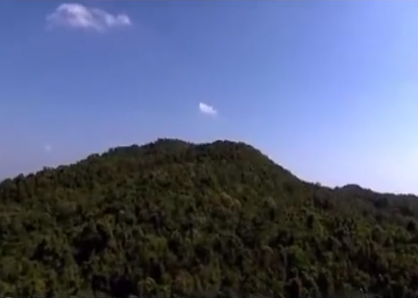 故事：山西農村遭蛇群攻擊，村民苦不堪言，專家來後蛇群消失不見
