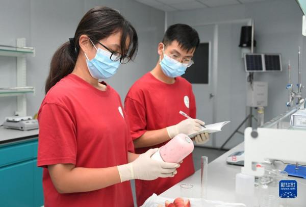 “駐村大學生”忙碌在“未來果園”