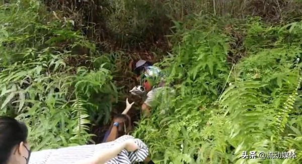 3歲男孩騎摩托表演死亡飛車，成最年輕特技車手丨趣觀世界