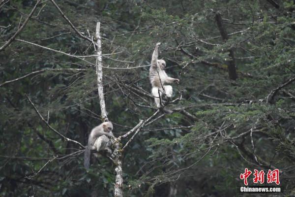 多樣生命多彩世界 走進奇妙雲南