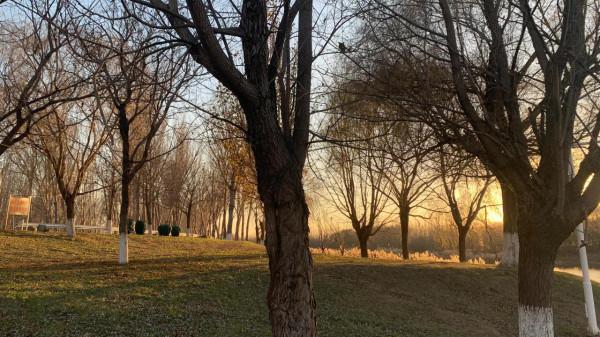 你為什麼處不好人際關係 你為什麼處不好人際關係