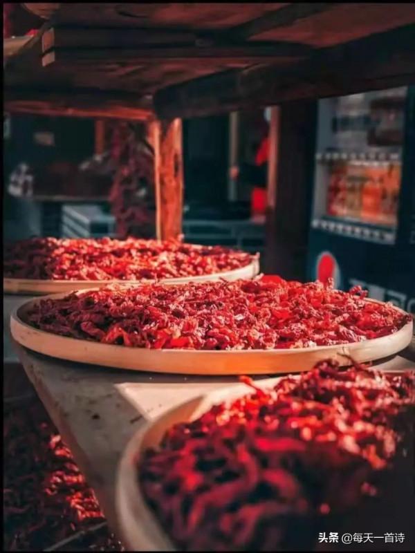 民間力量，中國實力詩人，四川詩人：王四姐