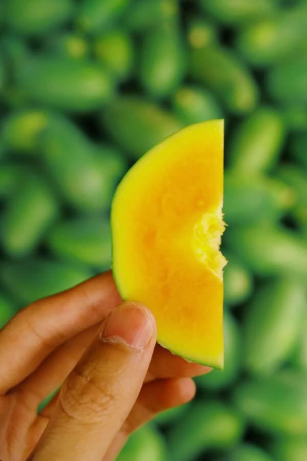 在這裡我毫不焦慮，還實現了水果自由