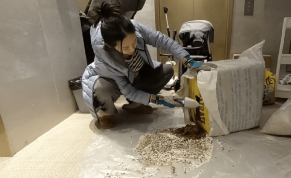 鄭愷老婆苗苗豪宅內種菜 給腹部打碼難掩超濃孕味