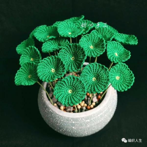 不用澆水施肥的盆栽吧！模擬微鉤銅錢草