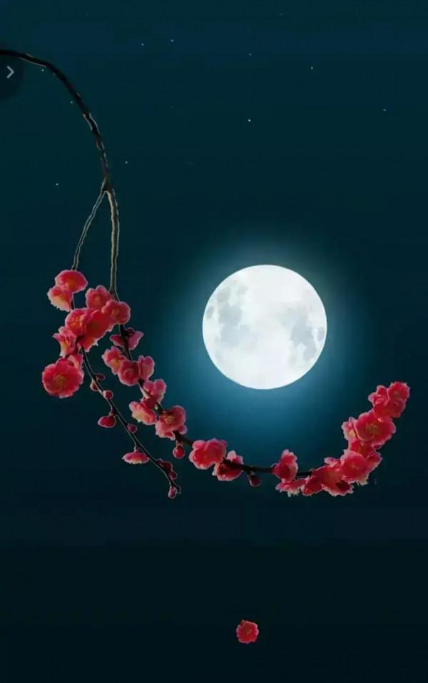 沒有月餅的中秋節