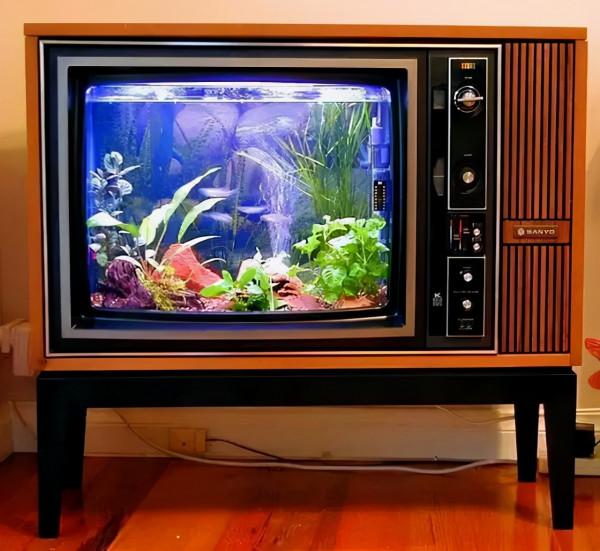 使用電視盒子後，還有必要去續費有線電視嗎？