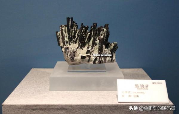 貴州地質博物館內的那些珍惜礦石（化石）、寶石你最喜歡那一塊？