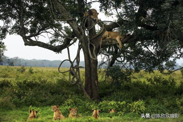 那庫魯保護區,成全你的瀟灑與冒險 那庫魯保護區,成全你的瀟灑與冒險